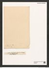 Diatomeae indet. Zeichnungen Sammlung Grunow (NHMW-BOT-W0375373)